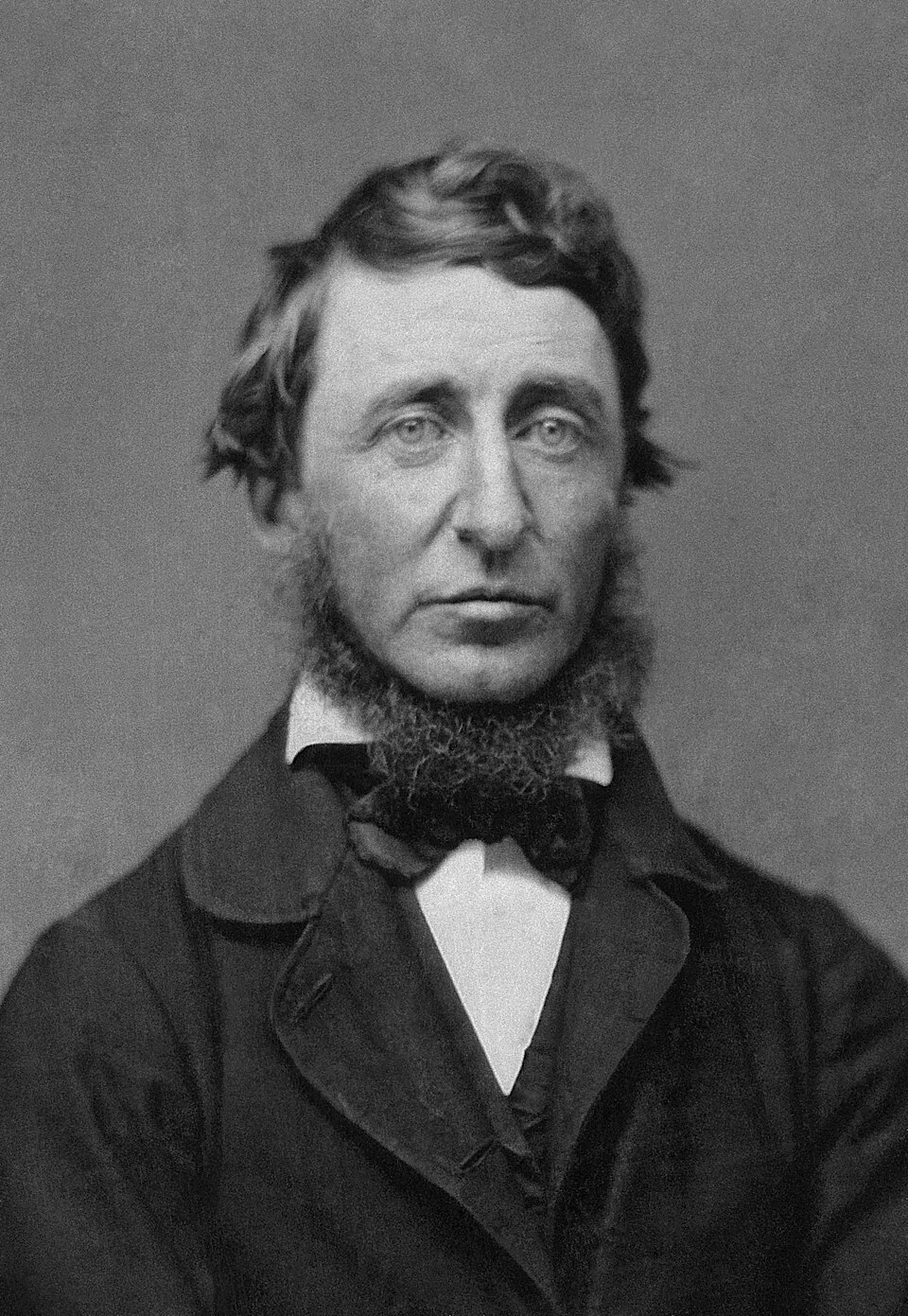 Porträt Henry David Thoreau