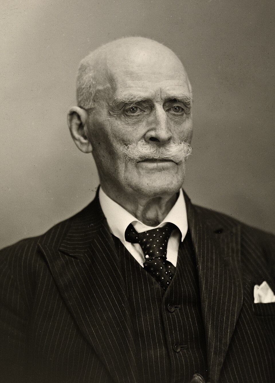 Porträt Knut Hamsun