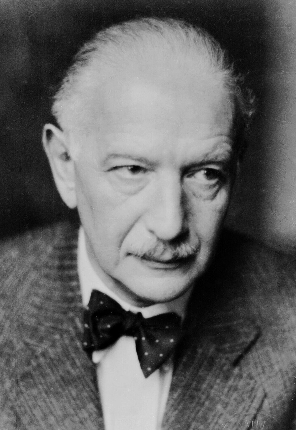 Porträt Alfred Polgar