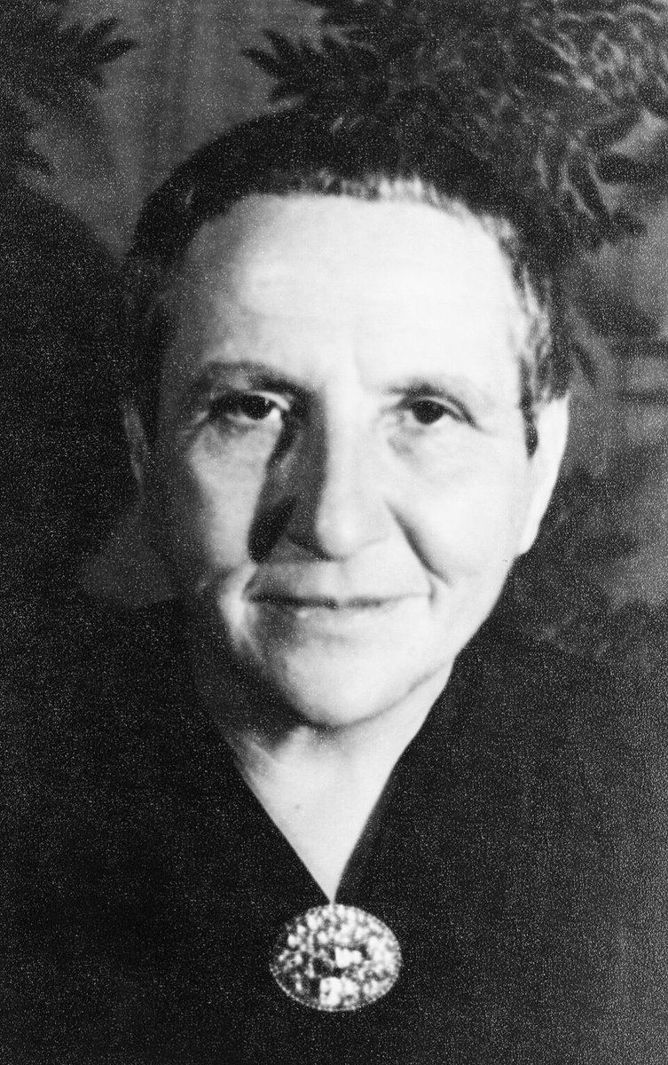 Porträt Gertrude Stein