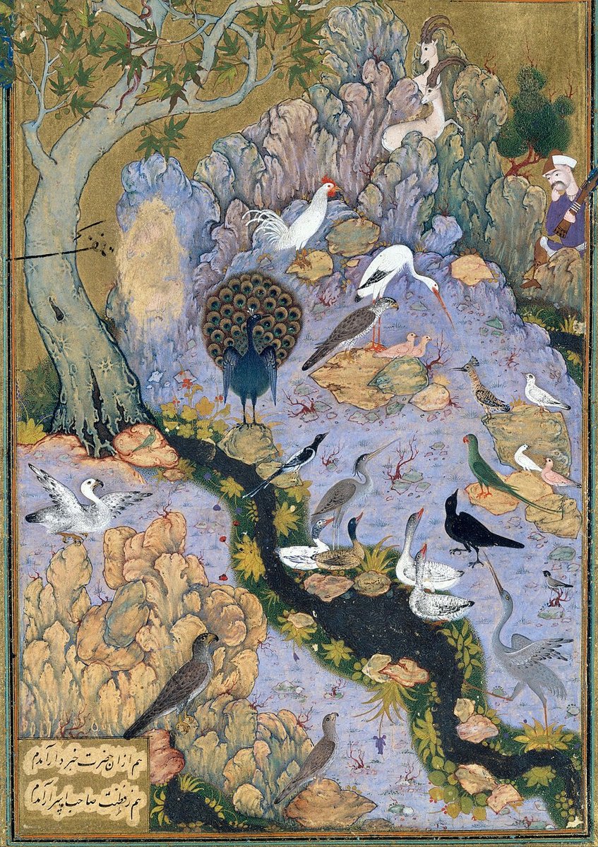 Cover Die Konferenz der Vögel