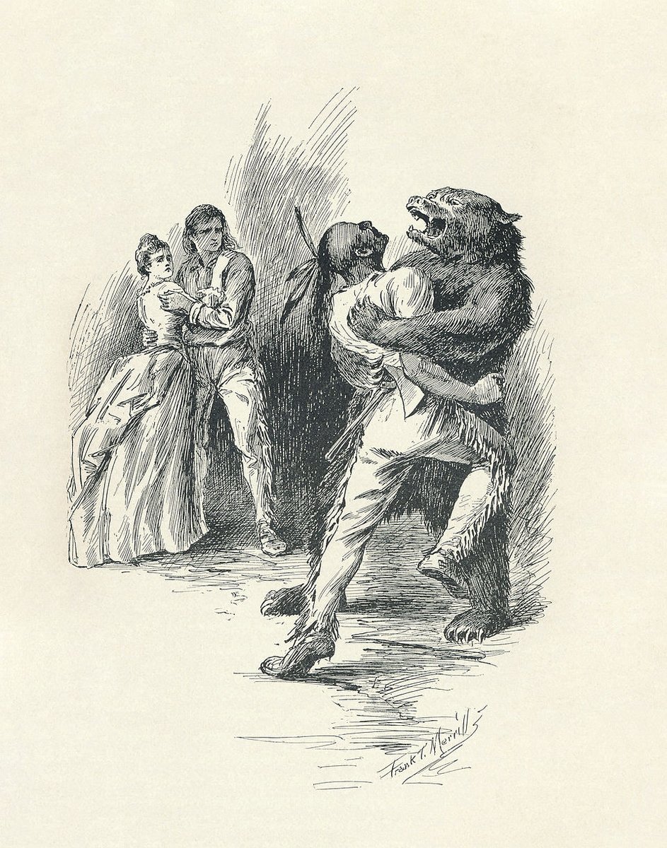 Cover Der letzte Mohikaner