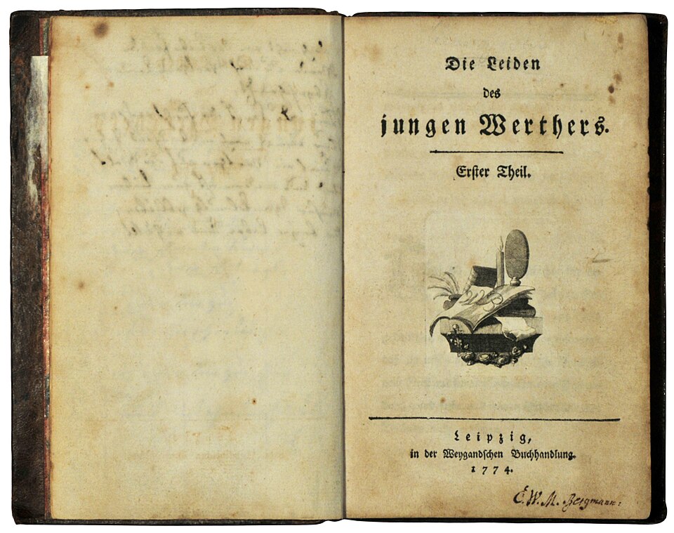 Cover Die Leiden des jungen Werthers