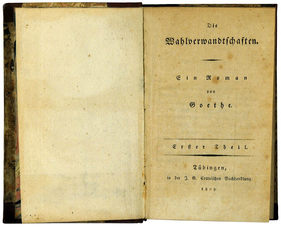 Cover Die Wahlverwandtschaften
