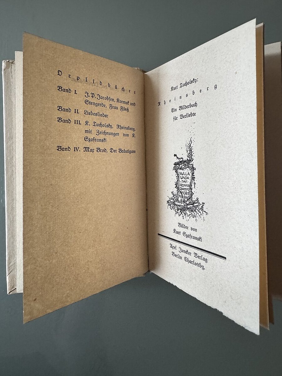 Cover Rheinsberg: Ein Bilderbuch für Verliebte
